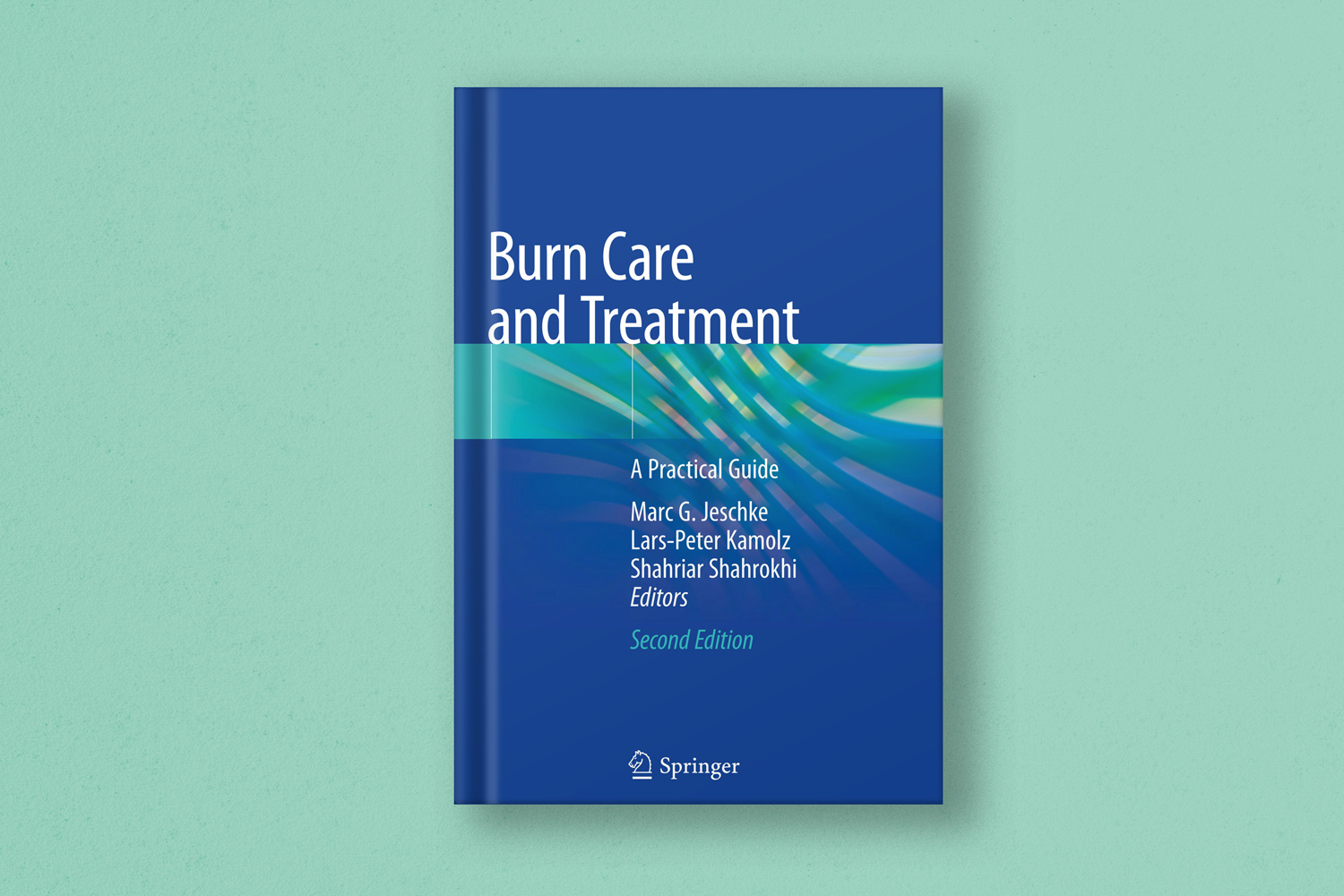 Burn Care and Treatment: A Practical Guide